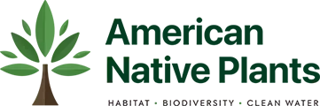American Native Plants
