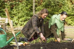 Native Plant Gardening: Looking Ahead Towards Autumn